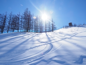【12月スタート】万座温泉スキー場でのホテルレストランサービスの求人画像
