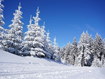 【12月スタート】ガーラ湯沢スキー場でのリフト係の求人画像